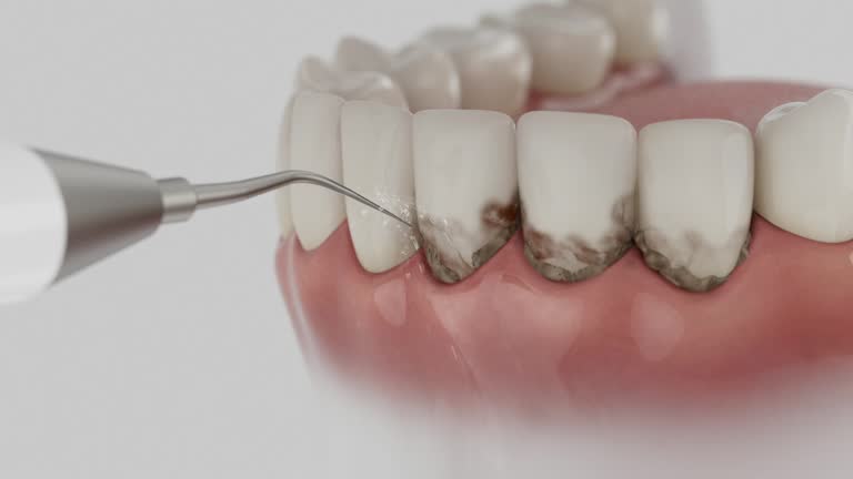 Reliable Dental contractor in Park County County, MT by Dentist Open Now